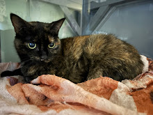 Photo du 2026-09-22