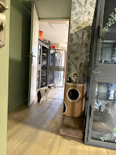 Photo du 2026-09-19