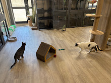 Photo du 2026-09-18
