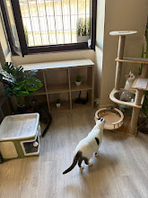 Photo du 2026-09-19