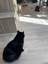 Photo du 2026-09-22