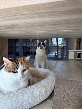 Photo du 2026-09-23