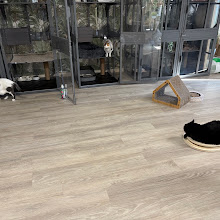 Photo du 2026-09-19