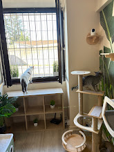 Photo du 2026-09-19