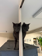 Photo du 2026-10-18