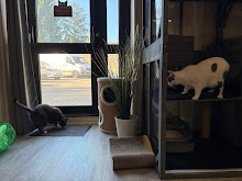 Photo du 2026-09-19