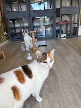 Photo du 2026-09-18
