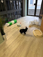 Photo du 2026-10-17