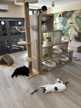 Photo du 2026-09-15