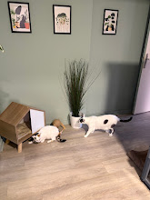 Photo du 2026-09-19