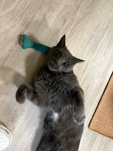 Photo du 2026-10-17