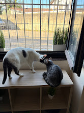 Photo du 2026-09-19