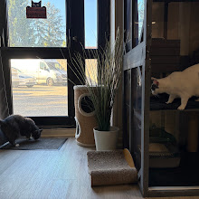 Photo du 2026-09-19