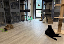 Photo du 2026-09-16