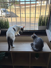 Photo du 2026-09-19