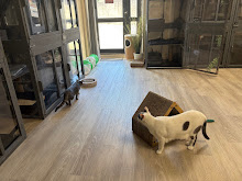 Photo du 2026-09-18