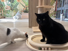Photo du 2026-09-19