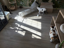 Photo du 2026-09-23