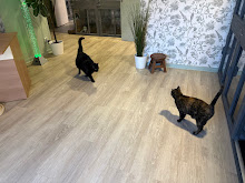 Photo du 2026-09-22