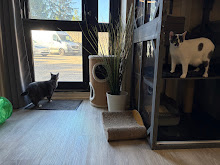 Photo du 2026-09-19