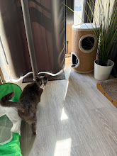 Photo du 2026-09-19