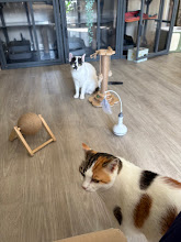 Photo du 2026-09-18