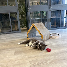 Photo du 2026-09-19