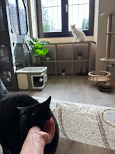 Photo du 2026-09-17