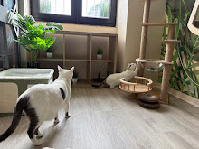Photo du 2026-09-17