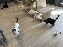 Photo du 2026-09-19