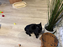 Photo du 2026-10-17