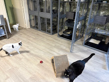 Photo du 2026-09-18