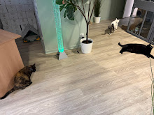 Photo du 2026-09-24