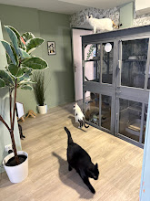 Photo du 2026-09-19