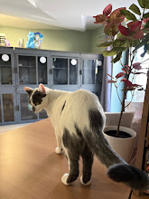 Photo du 2026-09-18